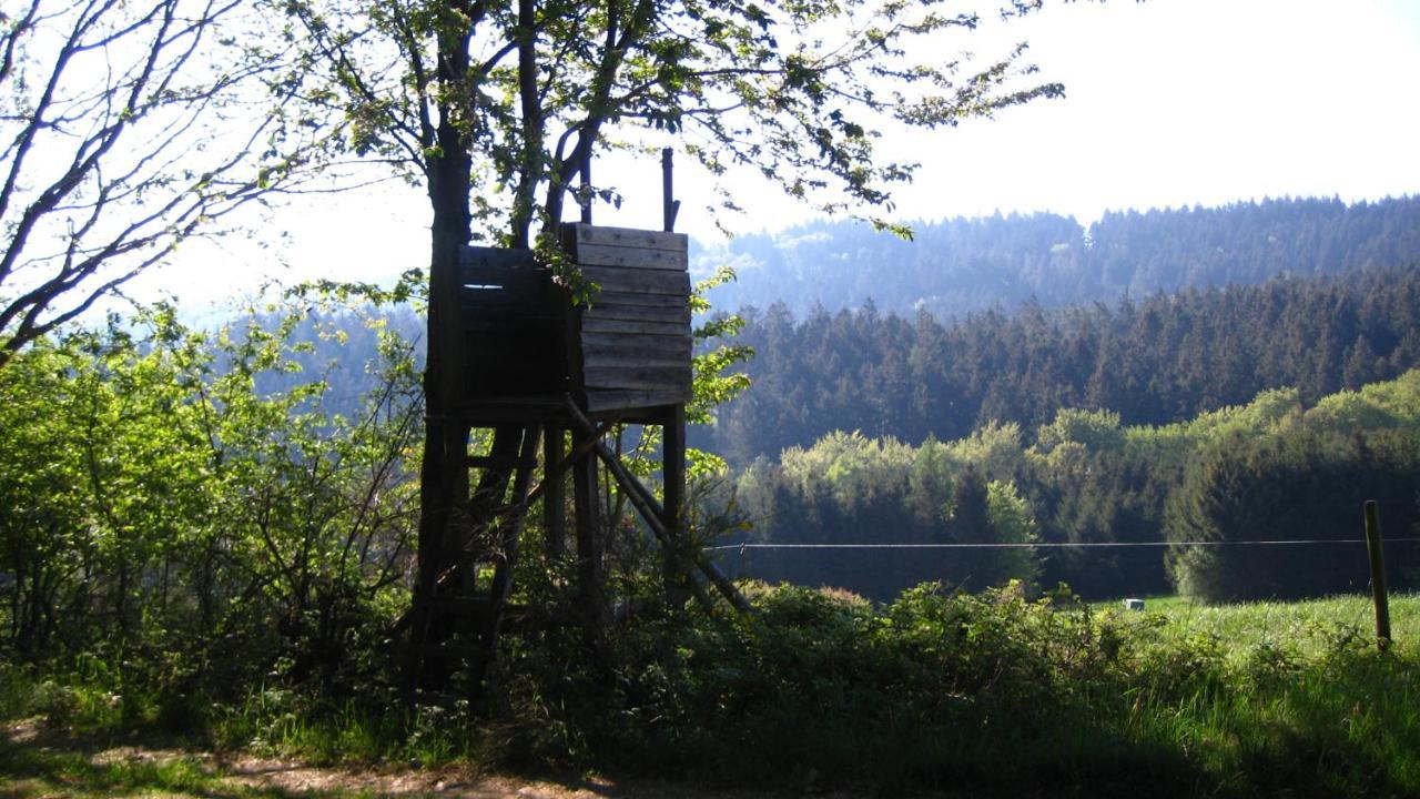 Fewo Marita Wimbach Exterior photo